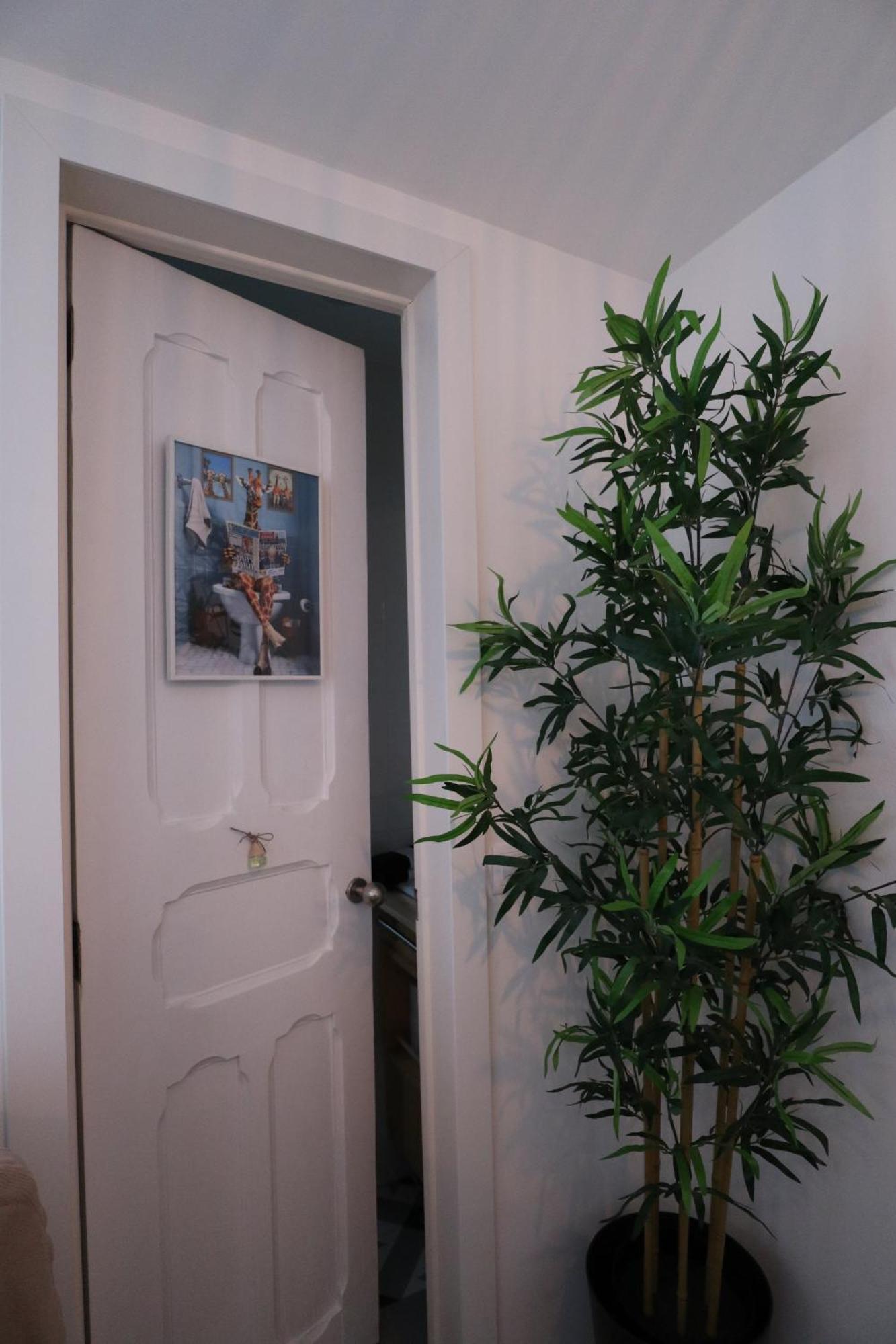 Giraffe House Διαμέρισμα Lisboa Εξωτερικό φωτογραφία